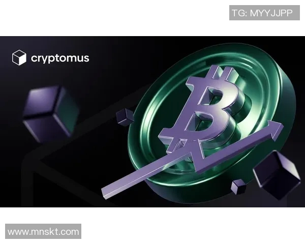 深度解析当前战术演变及未来走势预测分析